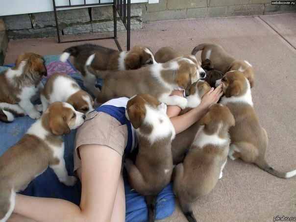 ��������� ���� ����� �� ��������