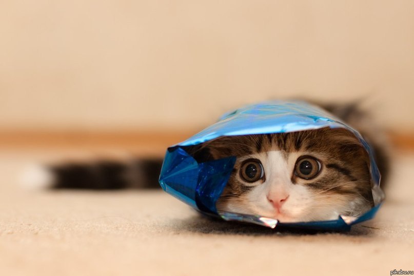 упаковался))