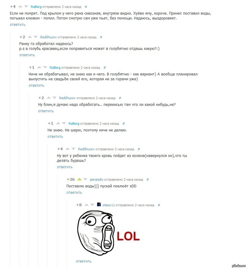 �� ���� ��������� �������� ����