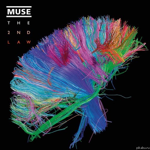   !      !      MUSE - The 2nd Law!