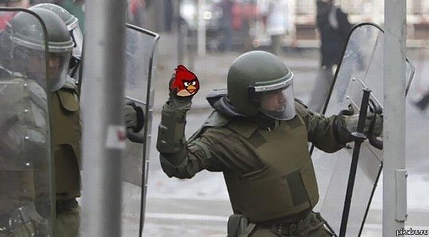 Angry Bird's