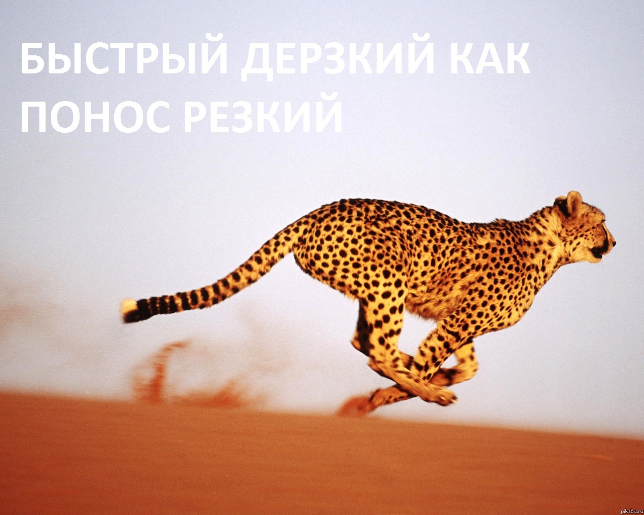 Ну как то так