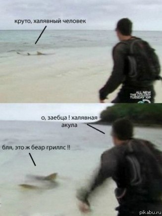 Типичный Беар Гриллс=)