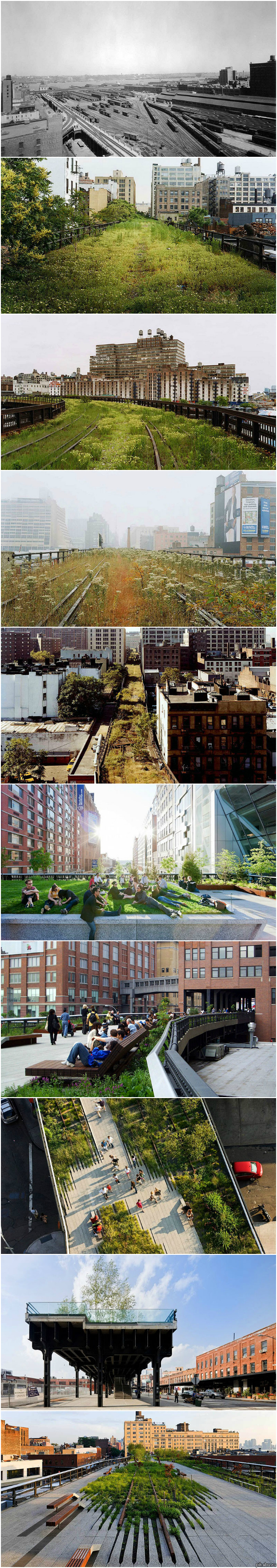    - - (The High Line)        10    ,       ()