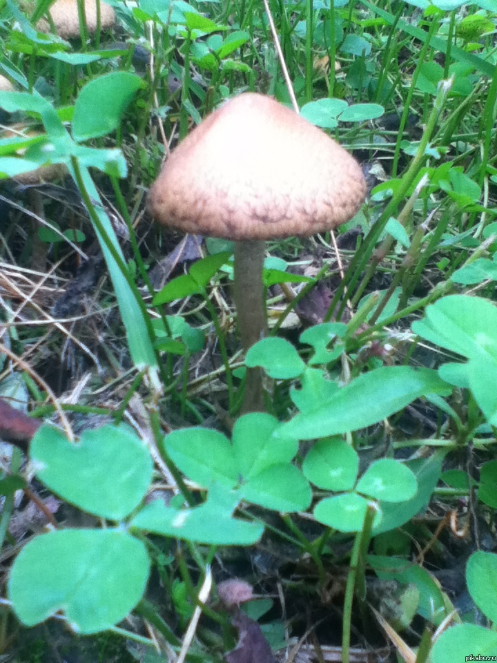 ����� � ��� �� ����, � ���...