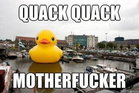 Why? Because Fuck You, Thats Why!
