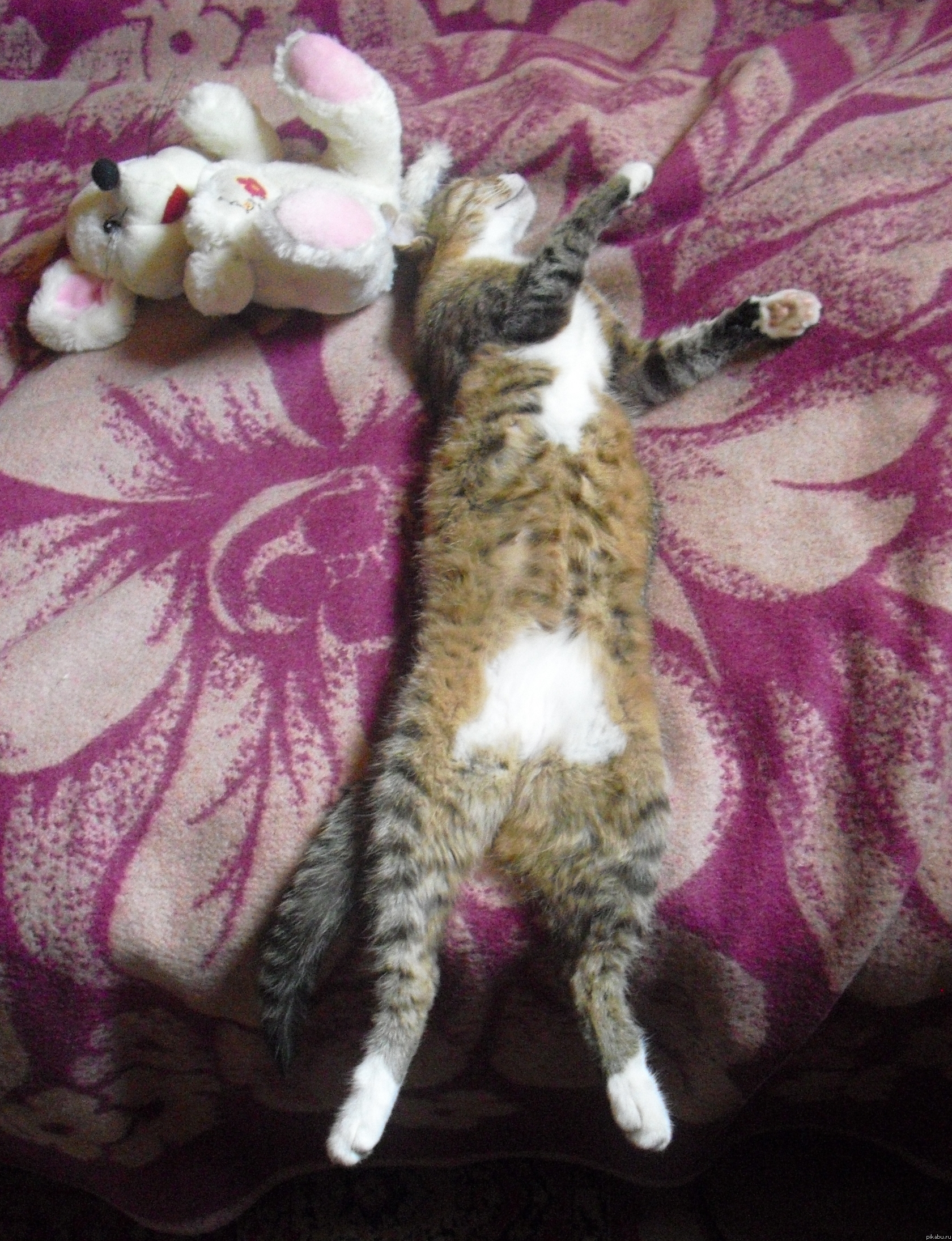 Они так похожи...