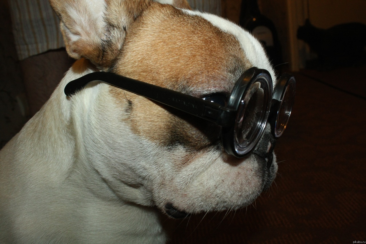 �� ����� ��������?