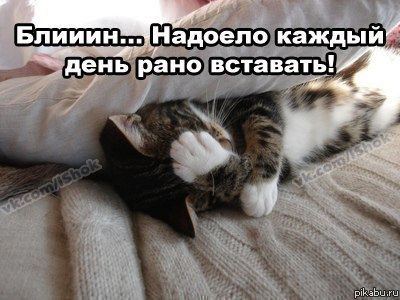 ��� ��� �� �������� �������� � ����� �� �������:)))