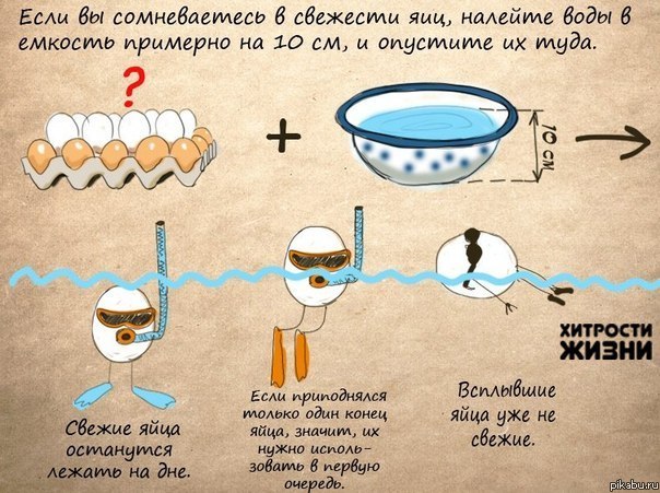 Хитрости жизни. Про яйца