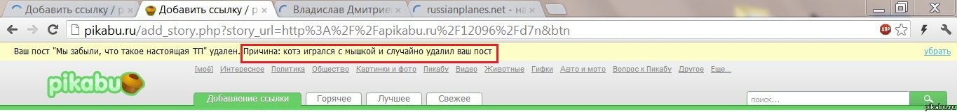 Не пускайте котэ за компэ!
