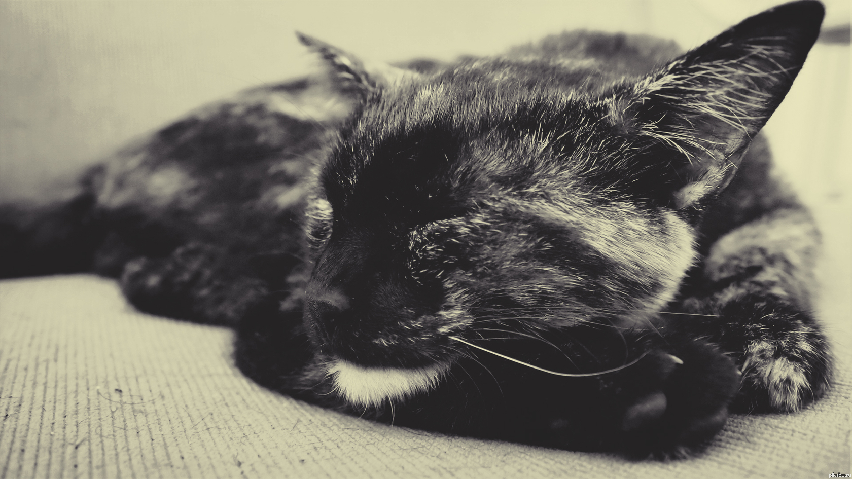 не зря я назвал её ""мила""