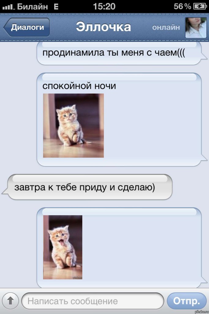 Pikabu спасибо за котят :)