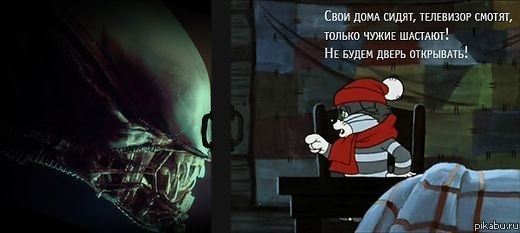 ������-�������������