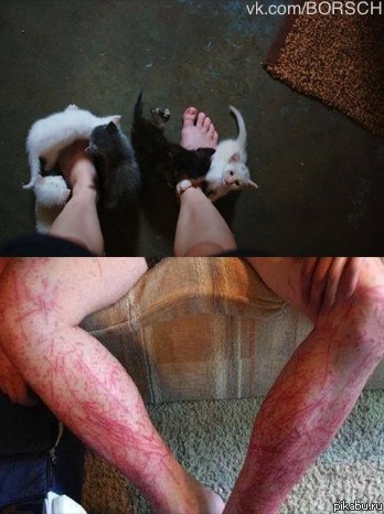 ��� ��� ��� ���