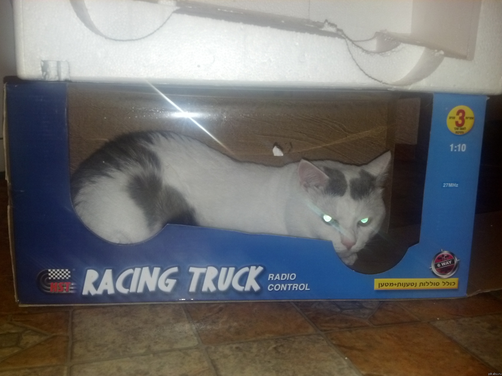 ���������������� ���