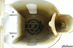 ����� ���� - ���� ��������