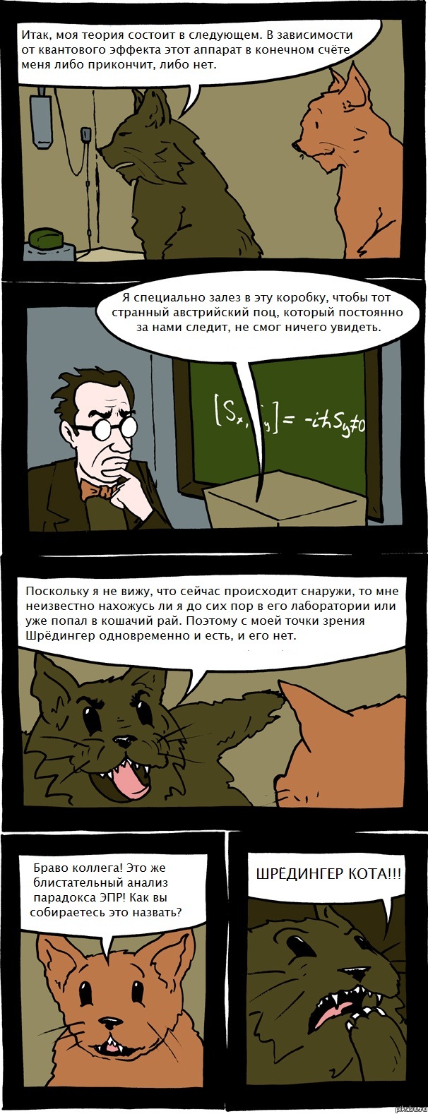 Шредингер кота
