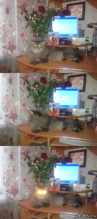 ��������...