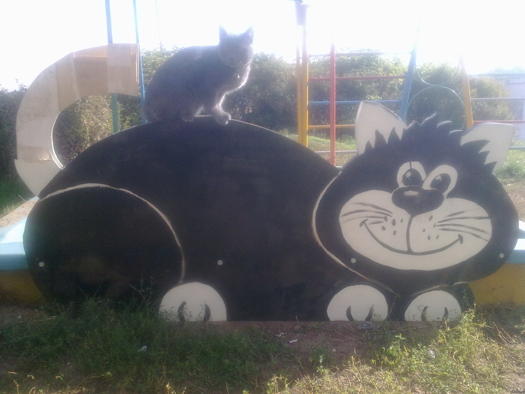 Большой кот в Уфе