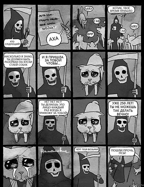 �����, ���� ����� ������...