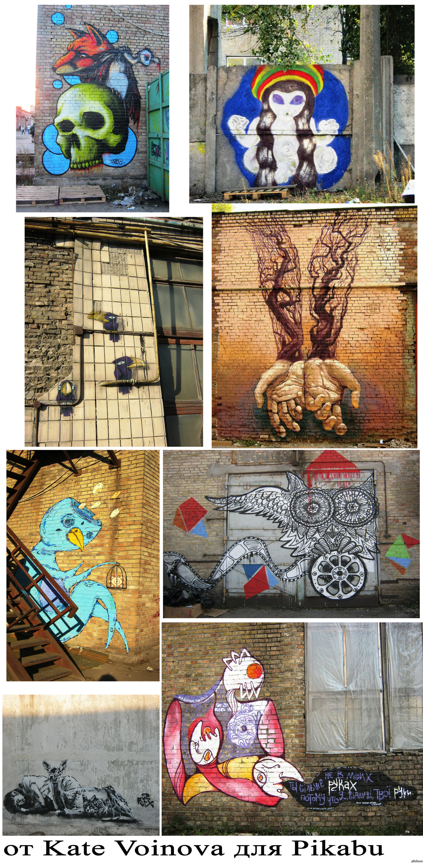 Граффити с киевского Гоголь Феста 21.09.2012-29.09.2012