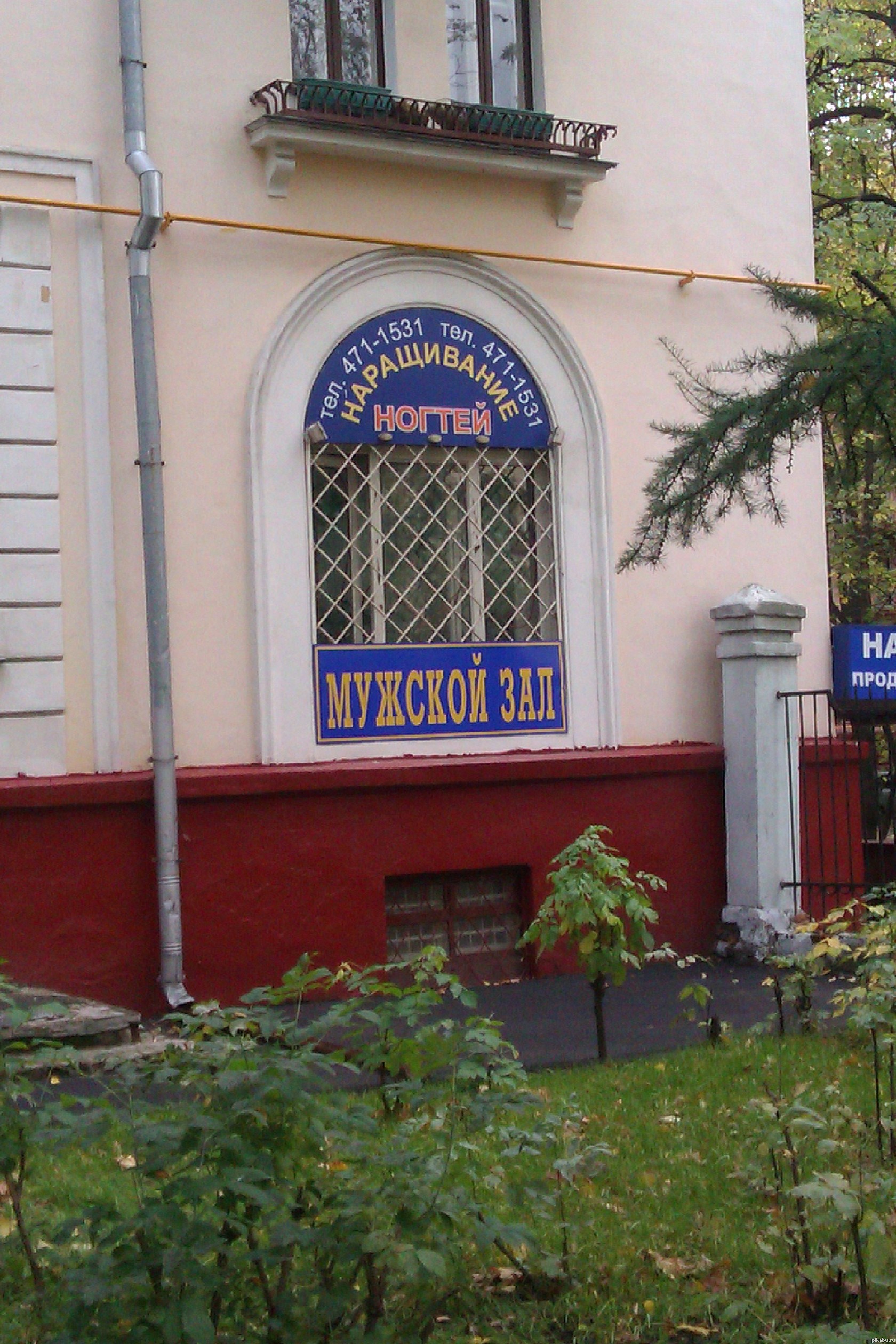 ���� �������, ������! ������� �����!