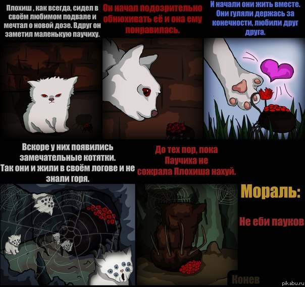 Котенок и паук