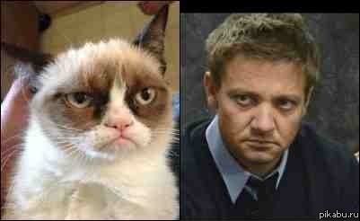 ������...