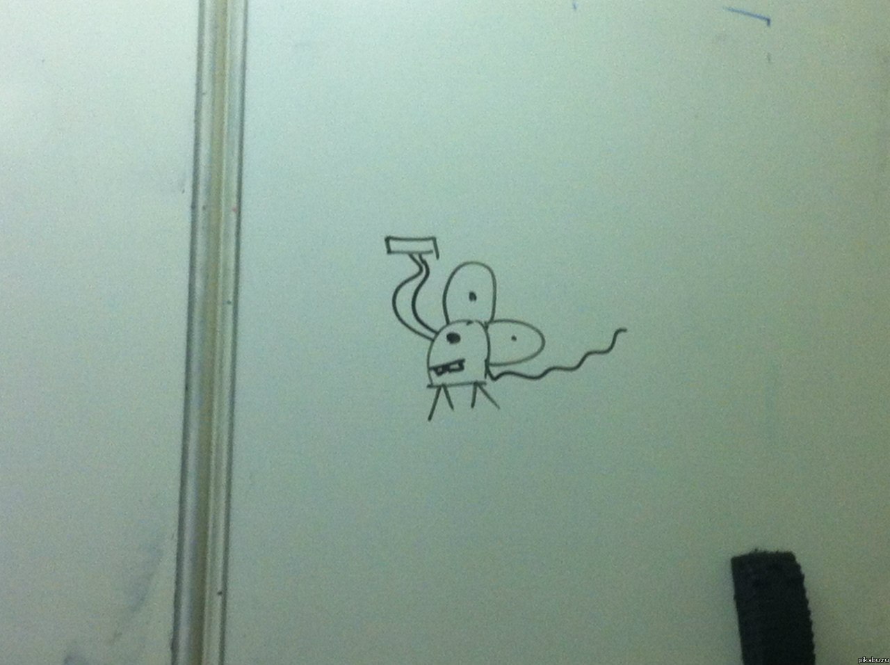 ������, ������ ����, ������� ������� =)