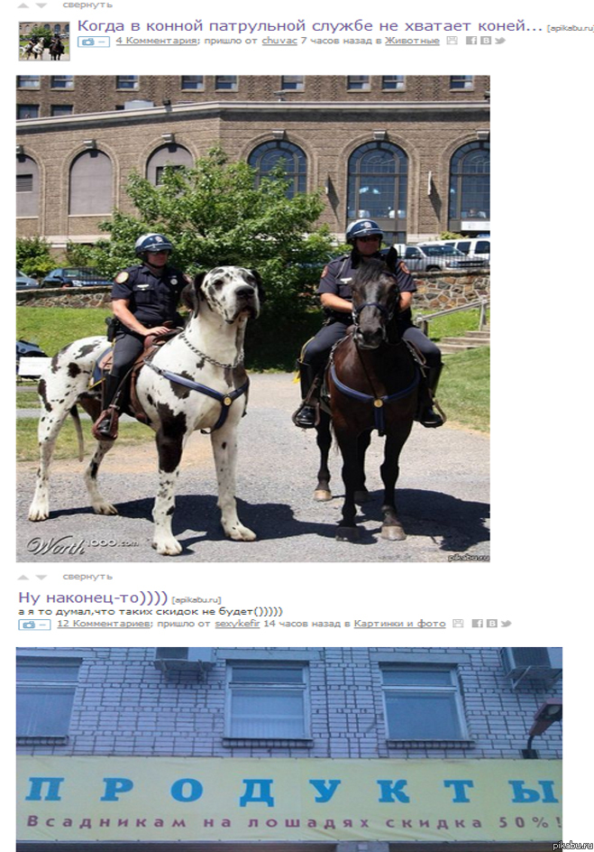 Люблю такие совпадения на Пикабу.