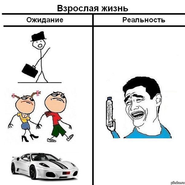Взрослая жизнь