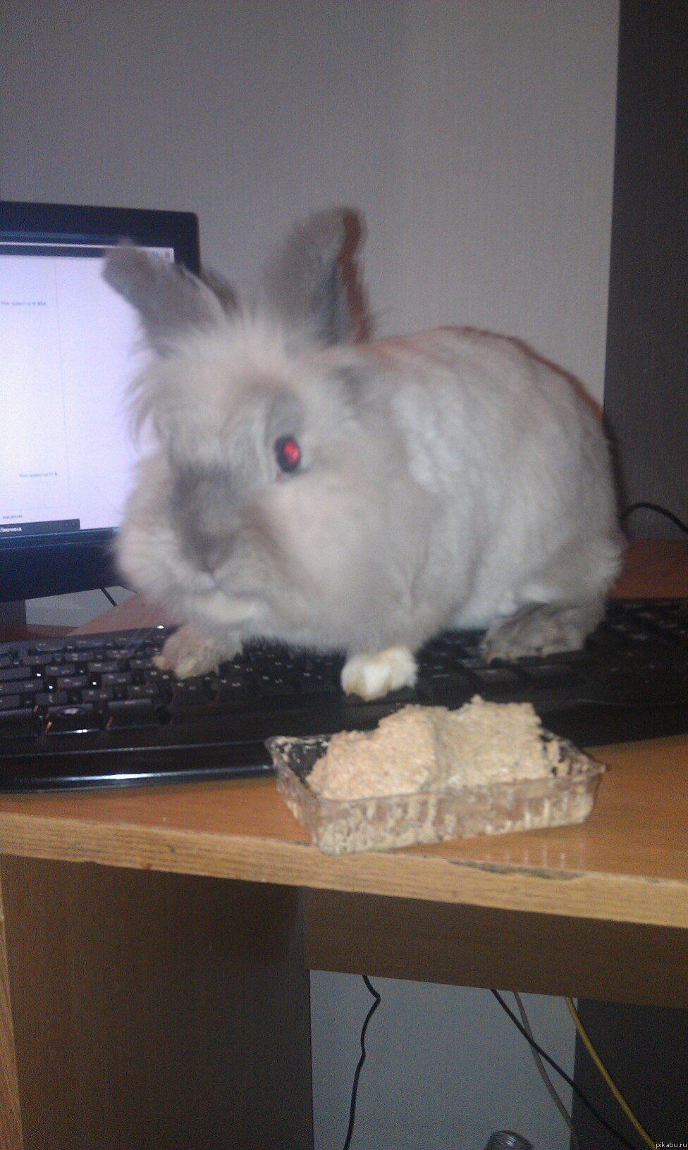 ��� ����������� ����������