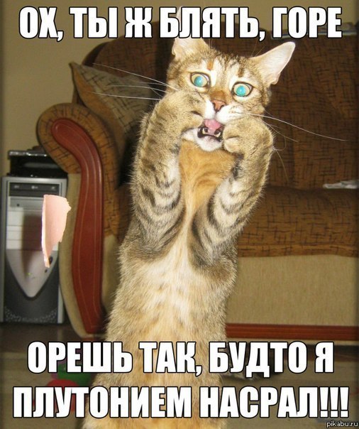 � ���� �������������!))