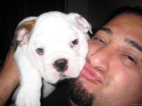 Всем Дино Казареса, посоны!