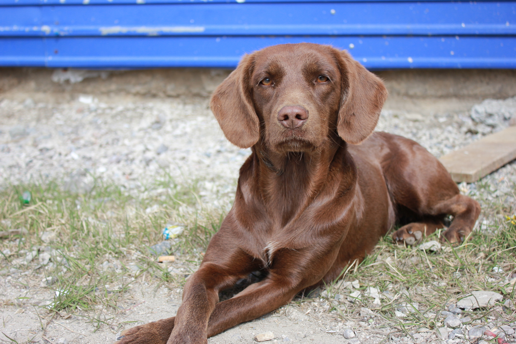 Вот такая красота получилась!