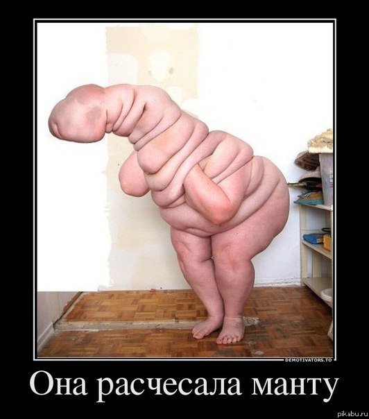 � ����� ���� ������