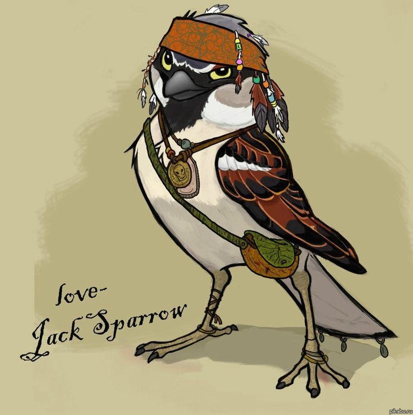 Вот он какой все-таки