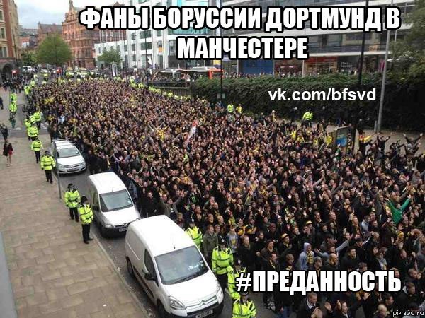 Преданность | Пикабу