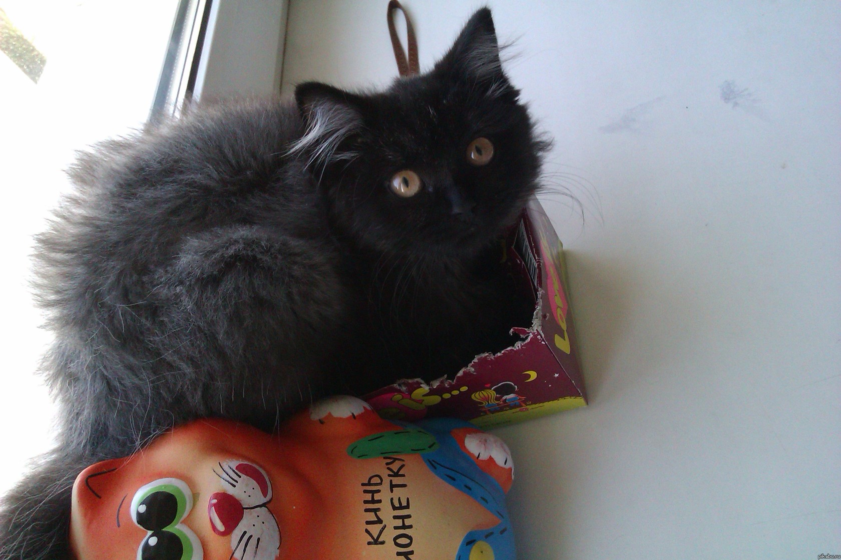 Котэ тоже любит Love is!)