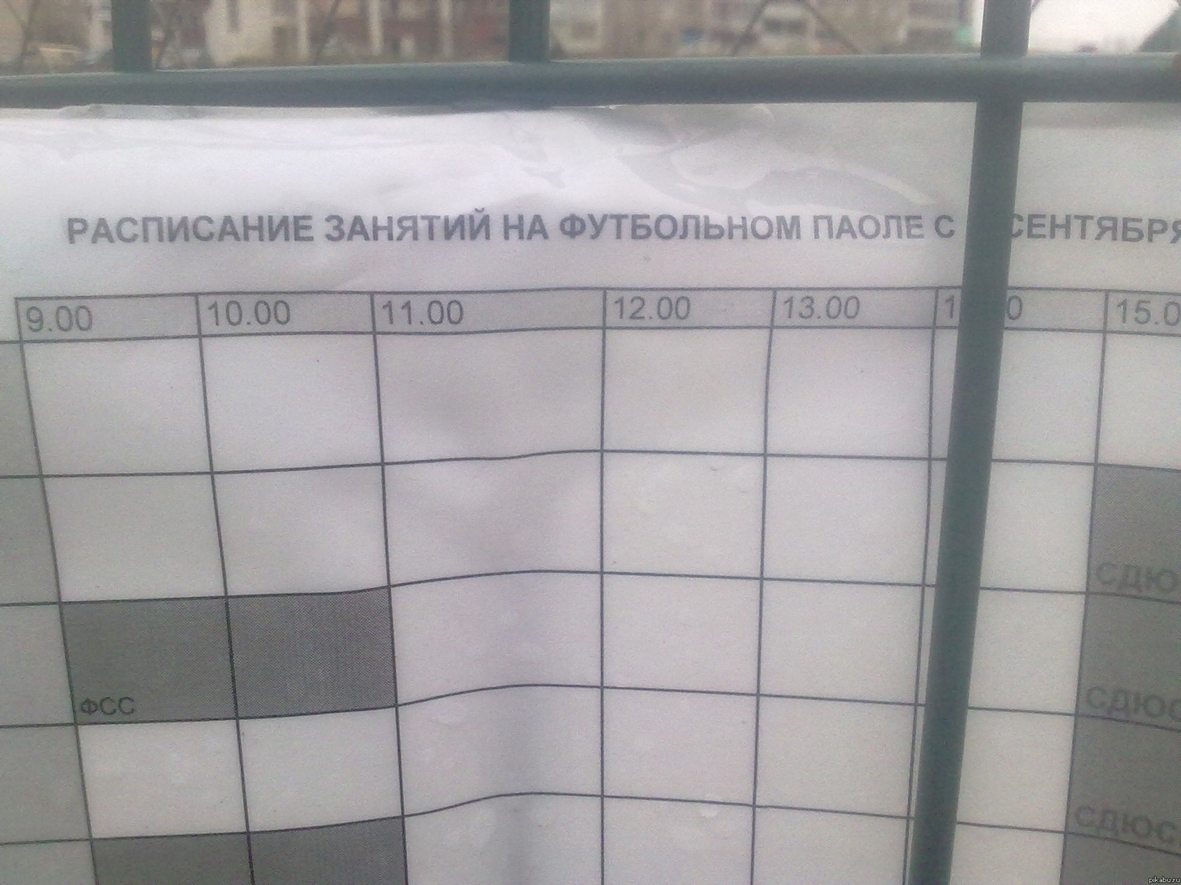 Грамотеи! | Пикабу