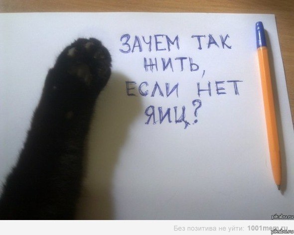 ����, �� ��� ��))