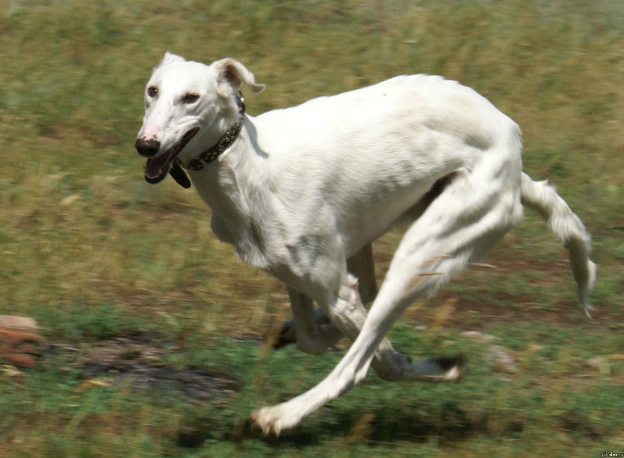 �������� ���������� ������