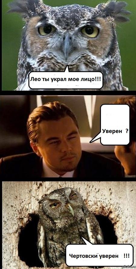 �� ����� ��� ����!