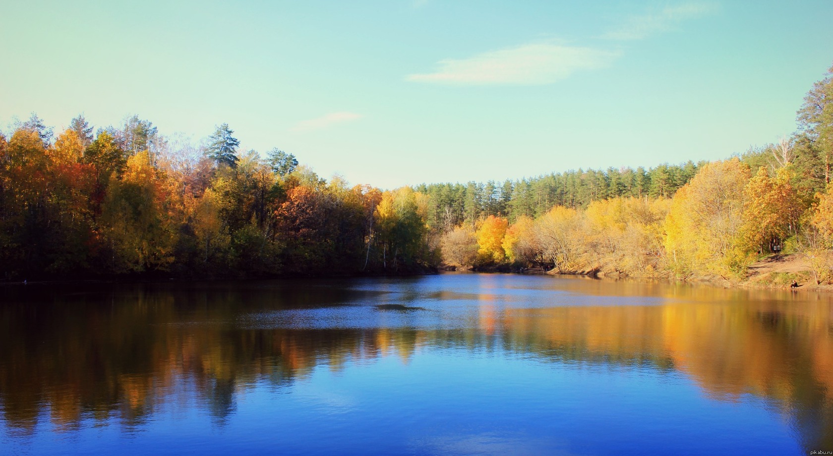 ����� � ��������.