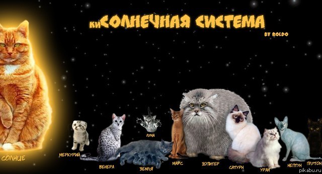 ����� ��������� �������