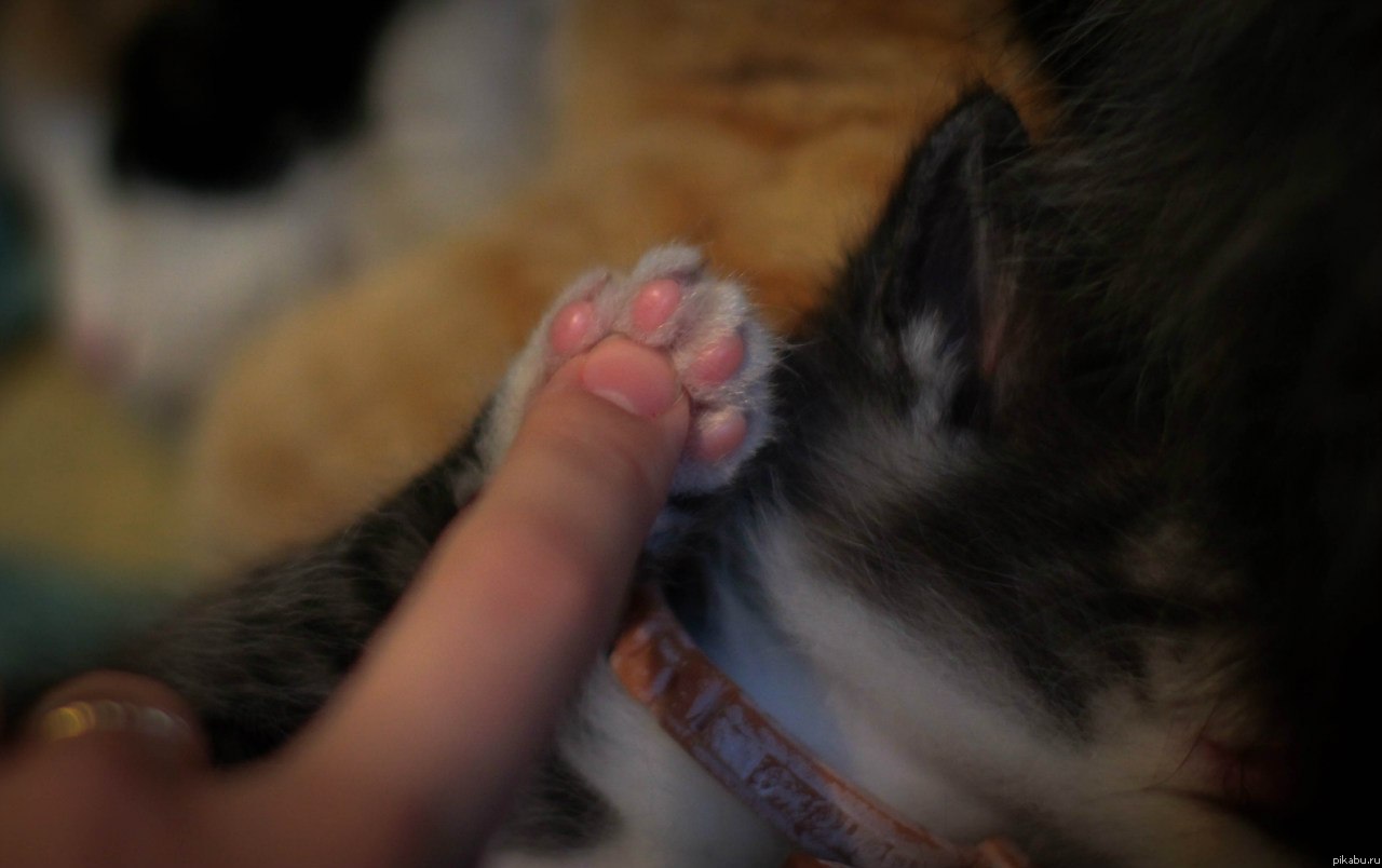 ��� ���� ����� ������ ����!