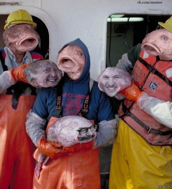 ������� ����������