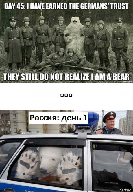 ������: ���� ������! �����