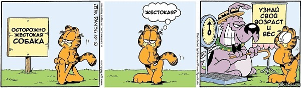 Жестоко... | Пикабу